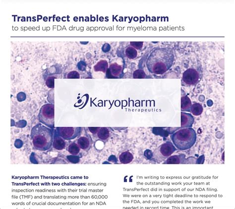transperfect trial interactive.